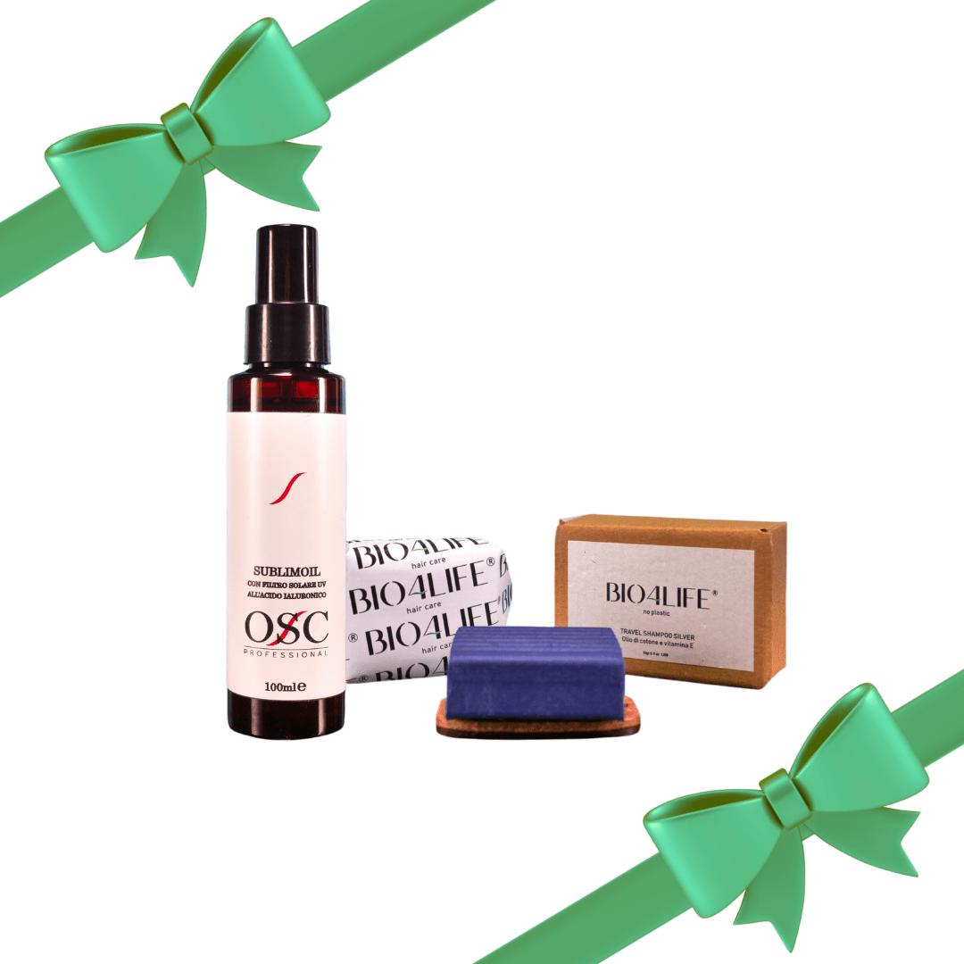 Beauty Kit Travel Silver - Bio4Life